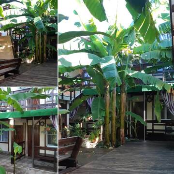 Трехместный номер с ванной комнатой в Гостевом доме Гостевой Дом «У Палыча»